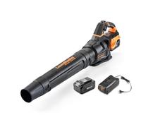 LawnMaster Soplador Hojas a batería 24V MX con Modo Turbo | Inalámbrico, batería 4Ah con cargador, flujo de aire potente, control crucero y tubo soplador desmontable, garantía 2 años