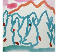 Lawrence - Birds On The Dancefloor [Vinilo]
