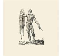 Lawrence English - Observation of Breath [VINYL] [Vinilo]