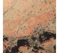 Lawrence English / Werner Dafeldecker - Tropic of Capricorn [VINYL] [Vinilo]