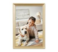 Lawrence Frames Marco de fotos de latón envejecido de 5 x 7 pulgadas, diseño de borde de cuentas (11457)