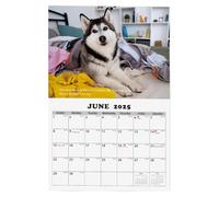 laxreheye Calendario de pared para una fácil organización, calendario de pared 2025, interesante calendario de pared y planificador de pared de temática Husky - Agenda anual con imágenes claras y