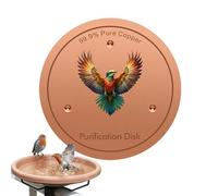 laxreheye Disco de limpieza para bebedero para pájaros, 10 cm, purificación de agua para todas las estaciones, disco de limpieza para bebedero de pájaros de cobre, para mujeres, madres, jardineras