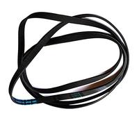 Lazer Electrics - Cinturón para secadora Hotpoint Indesit Contitech 144002145 6Phe 1991