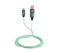 Lazerbuilt, Cable USB-C luminoso, Cable de carga USB con efecto luz, 1,2 metros, licencia Harry Potter, para PowerBank, Smartphone, Tablet