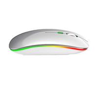 Lazmin Ratón inalámbrico para Juegos con luz Colorida de 2,4 GHz, ratón de Ordenador Ajustable de Tres velocidades dpi Ratón óptico Recargable USB para PC para Windows/XP/Vista/Me(Plata)