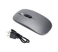 Lazmin112 2.4G Wireless Voice AI Smart Mouse, Computadora Portátil Mouse Inalámbrico 1600DPI Traducción De Entrada De Voz para Computadora Portátil De Oficina (Gris)