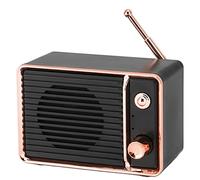 Lazmin112 Altavoz Bluetooth, Altavoz Inalámbrico Portátil con IPX5 a Prueba de Agua, Sonido Estéreo HD, 8-9 Horas de Reproducción, Batería Incorporada de 900 MAh, BT5.0, para Fiestas en (Black)