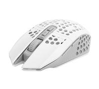 Lazmin112 Ratón para Juegos Ligero con diseño de Nido de Abeja, Ratón para Juegos Recargable inalámbrico de 2,4 GHz con Receptor USB Ratón de computadora con retroiluminación para computadora(Blanco)