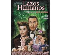 Lazos Humanos DVD 1945 A Tree Grows in Brooklyn