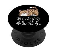 Lazy Cat Hiragana y Kanji Japonés I'Ll Do It Tomorrow Cute PopSockets PopGrip Adhesivo