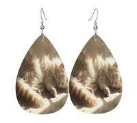Lazy Little Cat Under the Sunshine - Pendientes de piel con forma de lágrima para mujer, ligeros, ganchos de plata 925, impresiones de doble cara, regalo hipoalergénico