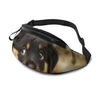 Lazy Puppy Dog Riñonera Ajustable Riñoneras con Orificio para Auriculares para Entrenamiento Deportivo Viajar Correr