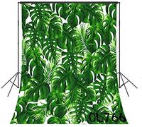 LB Monstera Deliciosa Banana Palm Fotografía Planta Verde Tropical Hojas para Fiesta Pictures Youtube Video Foto Fondo Estudio Props Personalizado CL766