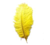 Lbvzxkad 10 x Estilo 10-12 Pulgadas Plumas de Avestruz Decoraciones