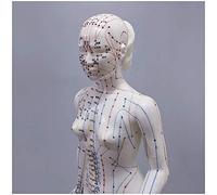 LBYLYH Modelo de acupuntura - Modelo de acupuntura de Cuerpo Humano Femenino con Puntos Meridian - 48 cm Modelo de Personas por Meridian Acupoint - para Meridian Massage Lessons