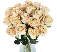 LCHJX 10 pcs Rosas Artificiales con Tallos de Toque Real