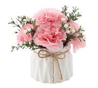 LCHJX Flores Artificiales, claveles, Flores Falsas, Flores Falsas, pequeños Trajes en macetas, decoración del hogar, Flores de Seda Centro de Mesa de la Oficina Decoración de Bodas de la Oficina