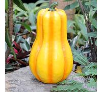 LCHJX Garden Festival Palabas de Calabazas Estatuas de Vegetales Artificiales Adornos de Calabazas de otoño decoración del hogar, para la decoración navideña de Acción de Gracias de Halloween, D
