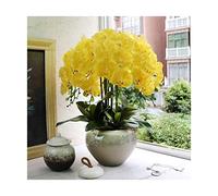 LCHJX Orquídeas Artificiales con jarrón para decoración del hogar PU phalaenopsis Bonsai Plantas Falsas arreglo