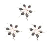 Lckiioy 36 Piezas Falso Juguetes para Mascotas Los Ratones de de Pelo del Suenan Ruidosamente Suave Piel de Conejo Real Suena Un Juguete de Chirriante