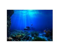 LCKKJHG Fondo De Acuario Póster Adhesivo de Fondo Seaworld for decoración acuarios con Peces(122x46cm)