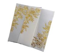 LCKKJHG Invitaciones Boda 10 tarjetas de invitación boda DIY sobres transparentes invitaciones for fiesta nupcial para la Fiesta(Khaki,Vellum Wrap Envelope)