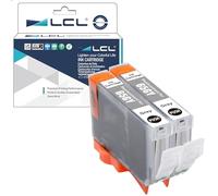 L artucho de Tinta Compatible CLI65 CLI-65 Reemplazo para Canon PIXMA PRO-200 PRO-200S (2 Gris)