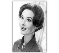 LCSLDW Impresión De La Lona Audrey Hepburn Movie TV Arte De La Pared Decoración De La Pared Impresiones De Seda Cartel del Arte Pinturas Sala De Estar Sin Marco, 15X20 Cm Sin Marco
