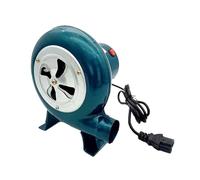 Ldbuejiaja Eficiente soplador de 80 W 48 V para exteriores, ayudante de barbacoa portátil, suministro de energía triciclo eléctrico con protección contra sobrecarga, soplador eléctrico para camping al