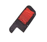 LDUTIU Motocicleta Filtro Aire Limpiador De Filtro Aire para Motocicletas para PS250 para NSS250S para NSS250 para NES250 para FES250