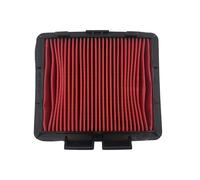 LDUTIU Motocicleta Filtro Aire Limpiador Filtro Aire para Motor Motocicleta Elemento Admisión para CRF230L 2008-2010 para FTR223 1999-2014 para CRF250M 2009