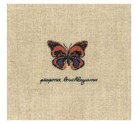Le Bonheur des Dames Petit Point - Kit de punto de cruz