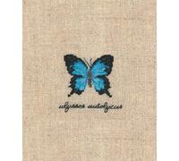 Le Bonheur des Dames Petit Point - Kit de punto de cruz