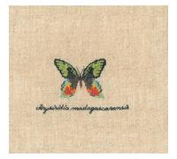 Le Bonheur des Dames Petit Point - Kit de punto de cruz
