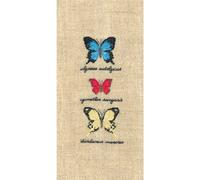 Le Bonheur des Dames Petit Point - Kit de bordado, color blanco