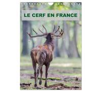 LE CERF EN FRANCE (Calendrier mural 2027 DIN A4 horizontal), CALVENDO calendrier mensuel: Photographies de cerfs en France.