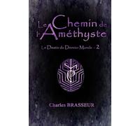 Le Chemin de l'Améthyste: Le Destin du Dernier Monde 2