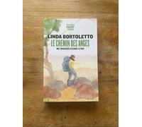 Le chemin des anges: Ma traversée d'Israël à pied