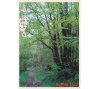 Le Chemin (ebook)