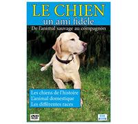 Le chien, un ami fidèle : de l'animal sauvage au compagnon [Francia] [DVD]