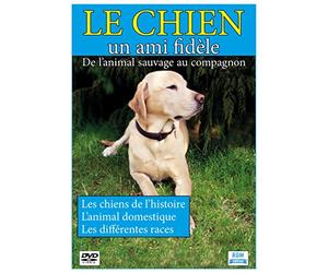 le chien, un ami fidèle : de l'animal sauvage au compagnon [Francia] [DVD]
