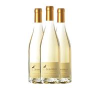 Le Clos des Fées Les Sorcières Blanc Vin de Pays Côtes Catalanes 75 cl Vino blanco (Caja de 3 Botellas de 75 cl)