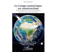 Le Congo numérique en construction: Plaidoyer pour une structuration cohérente des infrastructures de connectivité