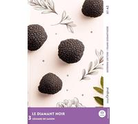 Le Diamant Noir - Französische Krimi-Lektüre A1-A2 (+ Audio-Online): Mit der Frank-Lesemethode leicht verständlich gemacht