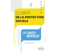 Le droit de la protection sociale en cartes mentales