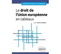 Le Droit De Lunion Européenne En Tableaux (ebook)