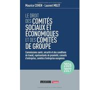 Le droit des comités sociaux et économiques et des comités de groupe (CSE): Commissions santé, sécurité et des conditions de travail, représentants de ... d'entreprise, comités d'entreprise européens