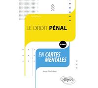 Le droit pénal en cartes mentales