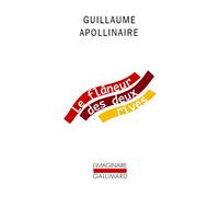 Le flâneur des deux rives: Suivi de Contemporains pittoresques